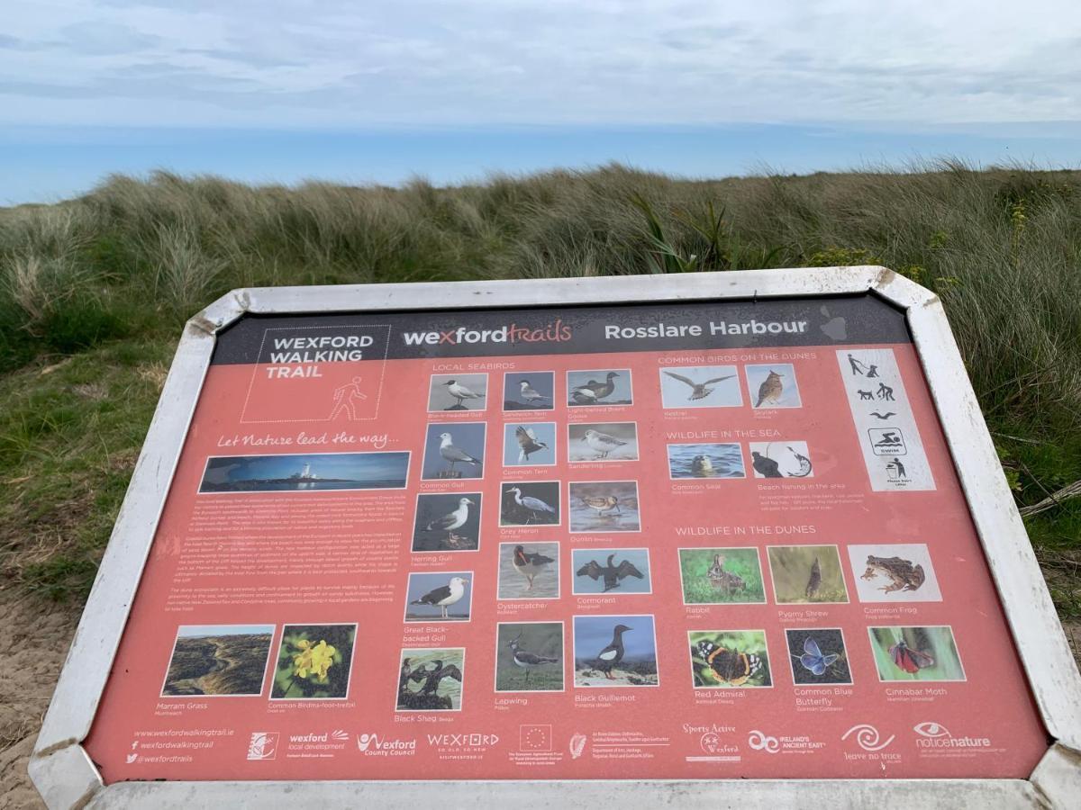 St Martin'S, Rosslare Harbour Guest Accommodation Екстериор снимка